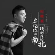 忘记你的南找到我的北(纪晓斌)