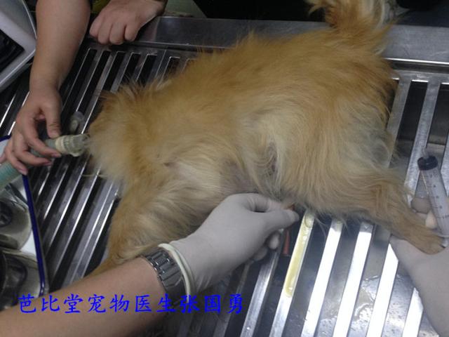 一天排尿多次才算是正常的