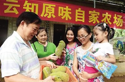 琼海白领返乡创业果树栽在云网上年销售额近千万