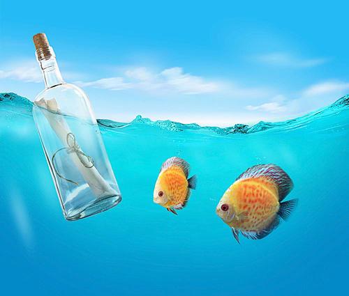 关键词漂流瓶与鱼图片漂流瓶与鱼图片素材下载漂流瓶与鱼图片