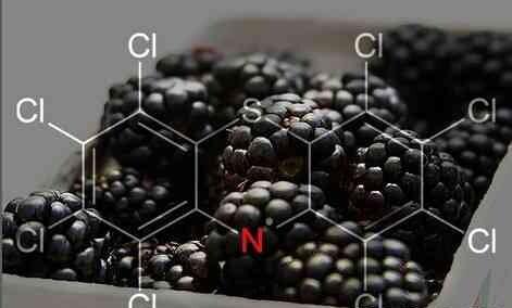 哪些食物可以补脑益智