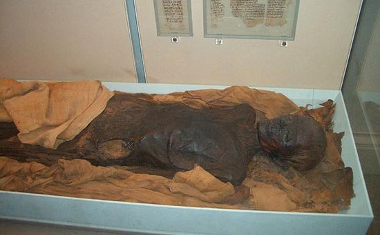 干尸图片大全集图片,伦敦大英博物馆的干尸们是真的吗?