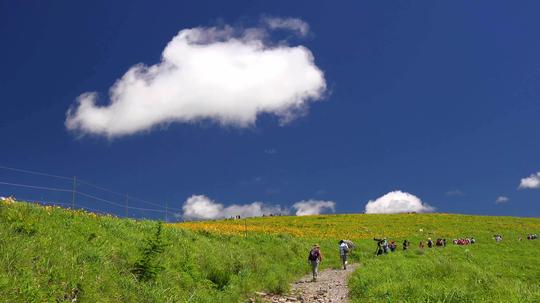 蓝天白云草地高原4k_3840x2160_高清视频素材下载(:)