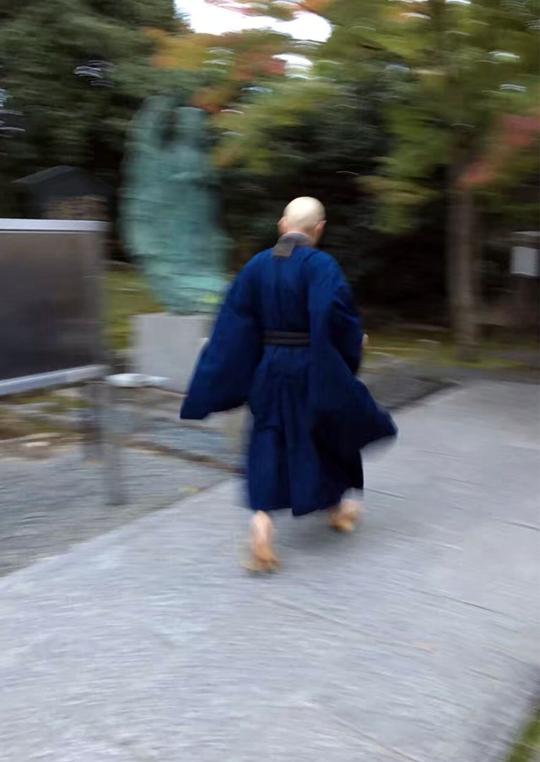 蓝袍僧人跑过来留下背影,唱经声里无疾无苦