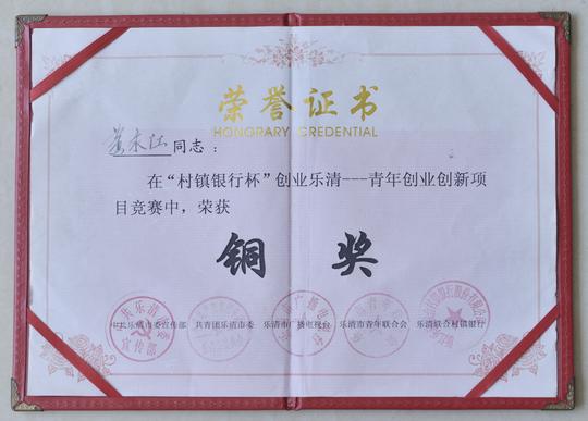 创业创新大赛证书