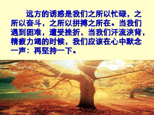 议论文的结构模式ppt