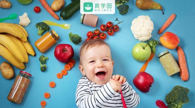 如何给宝宝做蔬菜泥水果泥