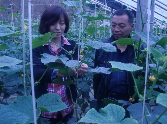 "最美乡村"的创业致富带头人陈翠翠