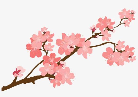 90设计提供高清png手绘动漫素材免费下载,本次樱花花枝作品为设计师