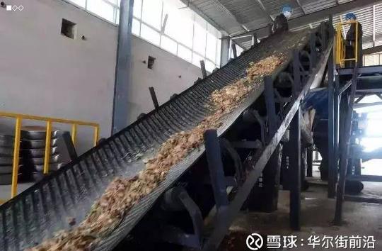 李延荣:在章丘养10亿只蟑螂,做出赚钱大生意