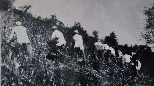 老照片:新疆生产建设兵团白手起家,艰苦奋斗的创业年代