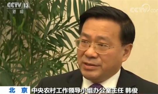 中央农村工作领导小组办公室主任韩俊