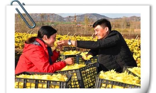 40岁的人打工10年，积攒了30万，想回农村创业做什么好?