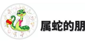 属蛇人旺财手势大公开,招财纳福好运来