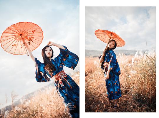 玻璃芦苇