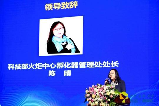 科技部火炬中心孵化器管理处处长陈晴出席19年光谷创新创业峰会