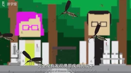 怎么样才可以把蚊子全部消灭?