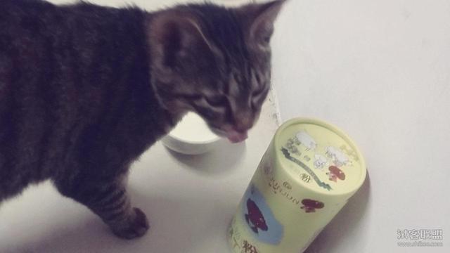 夏季能喝奶粉吗