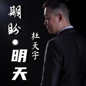 期盼明天(杜天宇)