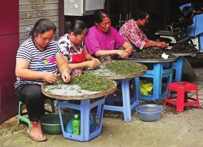 今年福州茶商生意下滑约30千元茶滞销