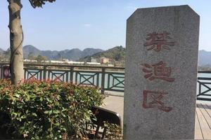 在江河湖泊钓鱼违法吗 会有哪些后果 爱游钓鱼网