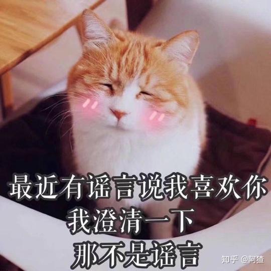 表情聊天开场白幽默表情包聊天开场白来聊聊天表情包聊天表白套路