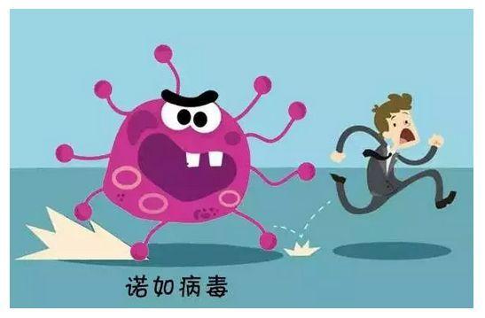 孩子食物中毒和诺如病毒区别