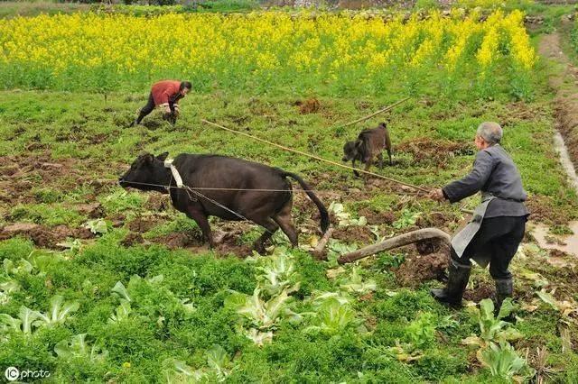 2020二月二龙抬头朋友圈说说