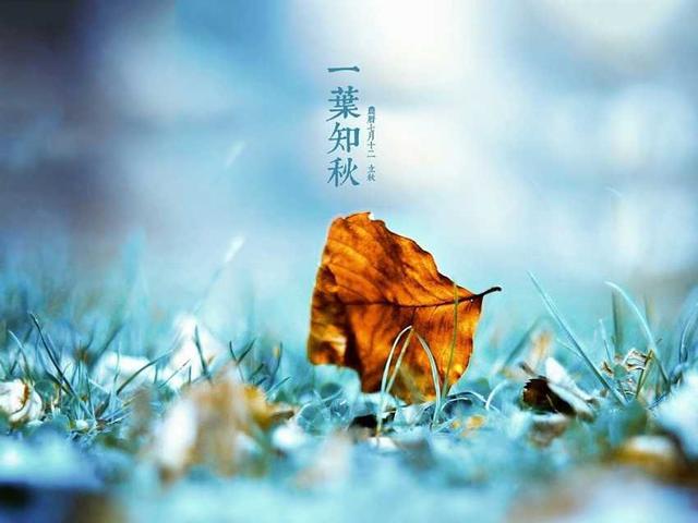 立秋了天气有什么变化