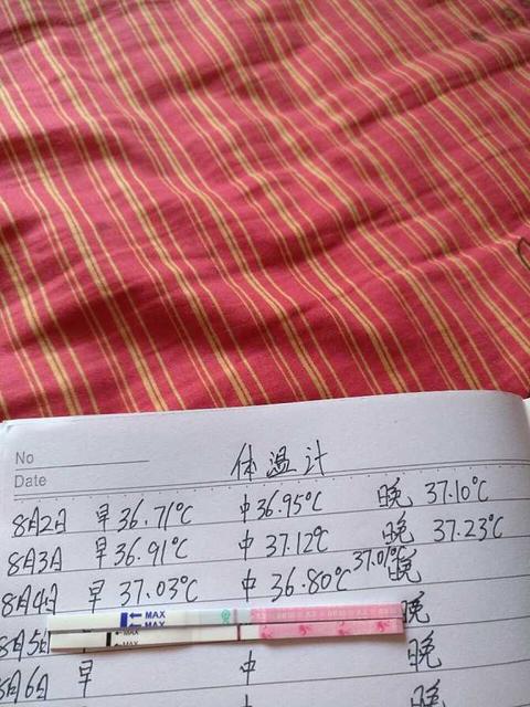 备孕体温和排卵试纸变化图