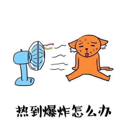 天气热的搞笑图片表情包