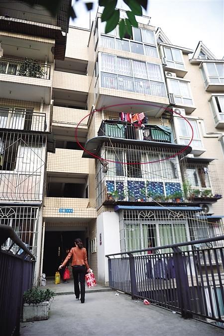 残疾老太生活贫困想养蜂赚钱却蜇伤十余居民