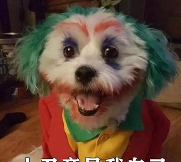 小丑竟在我身边表情包