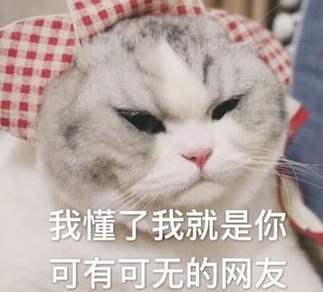 你懂的可爱搞笑表情包