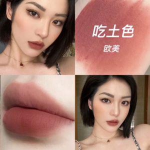 迪奥女王吃土色口红哑光欧美风奶茶土棕色南瓜色不易脱色雾面裸妆