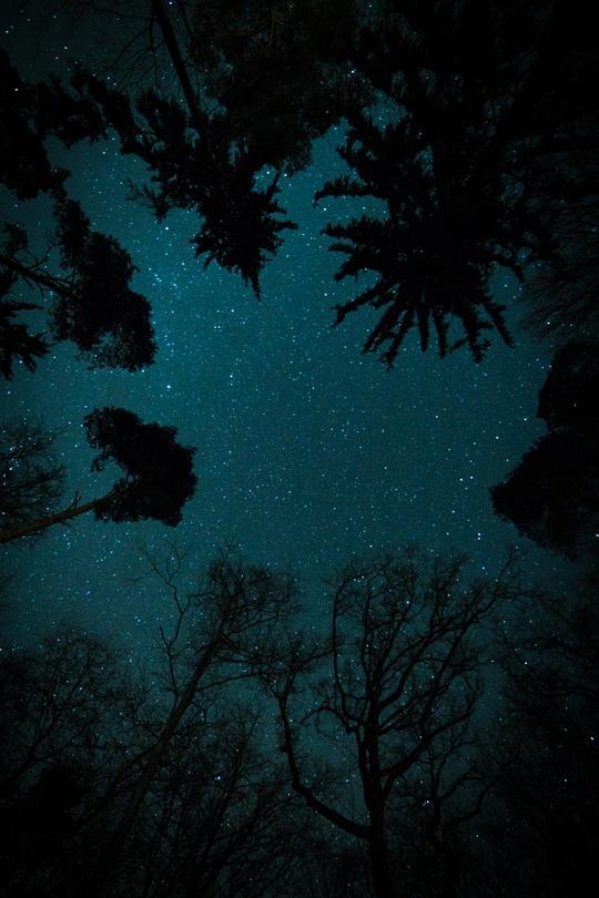 夜晚星空仰望星空夜晚星光素材