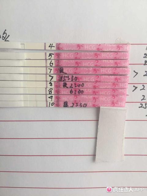 试管婴儿养囊是什么意思