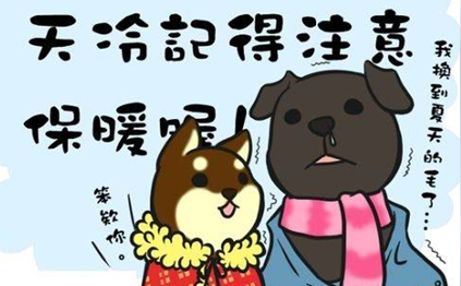 单身狗最暖心短句天冷了关心对方的暖心短句