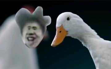 鸡你太美蔡徐坤表情包