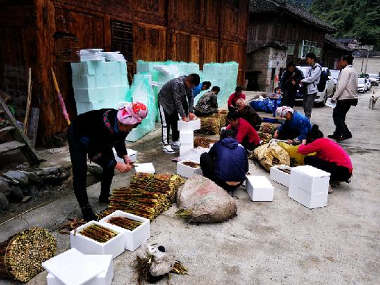 在农村，很多人想赚钱却没有好门路?以下两个“小生意”有前途