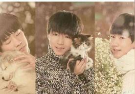 样（YOUNG）(TFBOYS)