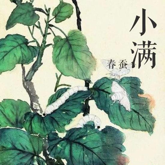 2021小满节气祝福语说说带图片