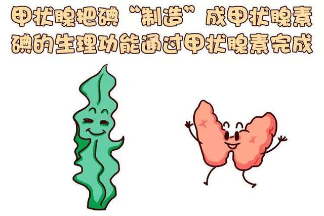 甲状腺对胎儿的影响大吗