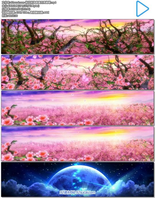 唯美梦幻的桃花林海月亮蝴蝶超宽屏led高清舞台背景动态视频