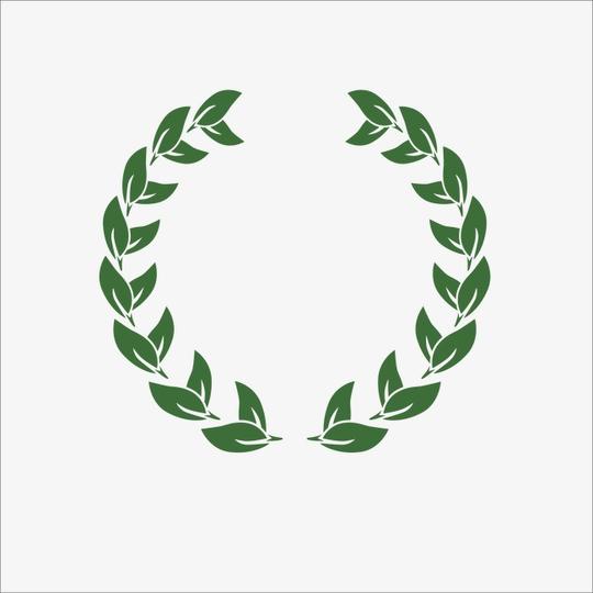 橄榄枝