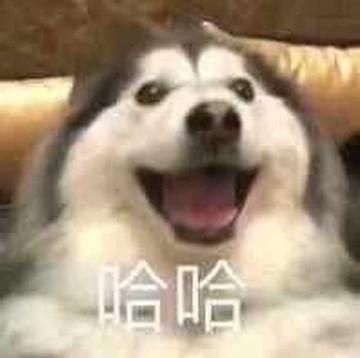 金馆长哈哈哈哈哈哈真好笑尴尬笑的表情包