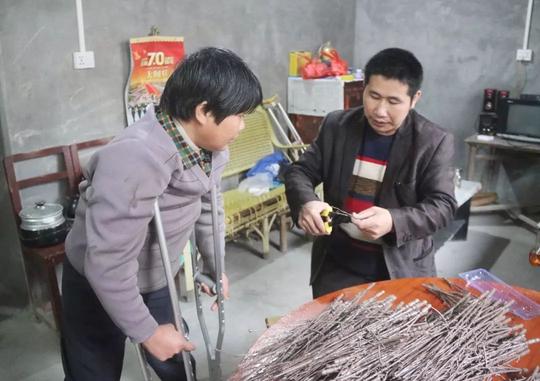 在家门口就能就业!鹅公镇推进就业创业扶贫有一套