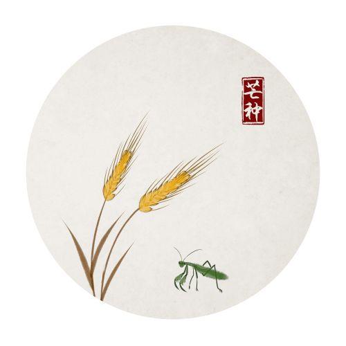 芒种节气怎么养生