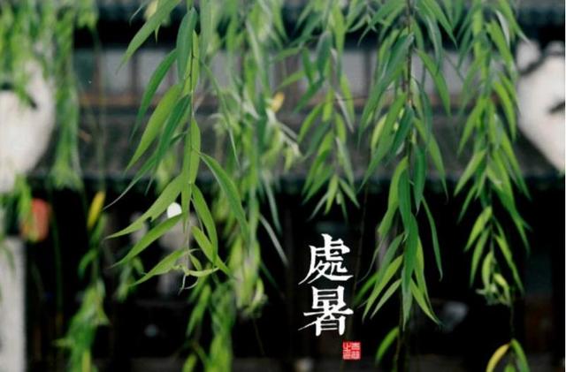 开始养生的朋友圈说说