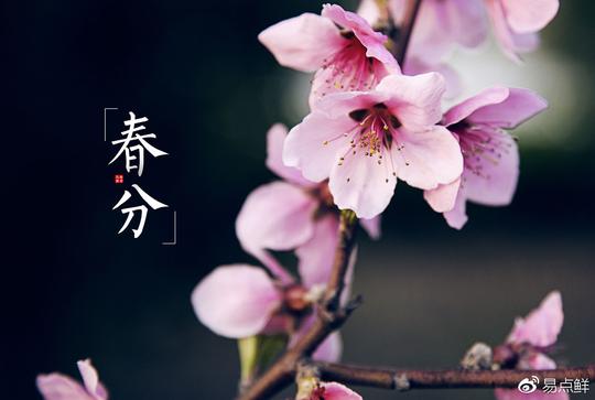 春风十里不如你有了易点鲜不负好时光